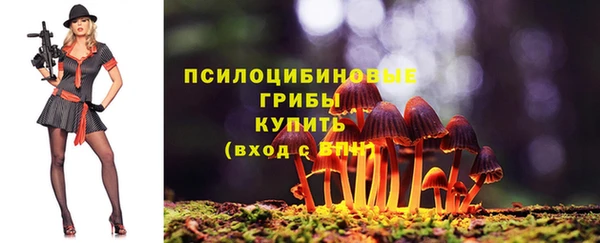 стафф Алексеевка