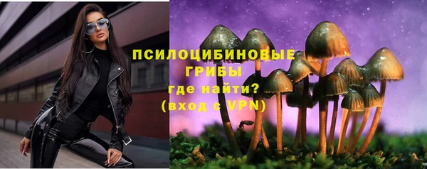бошки Заводоуковск